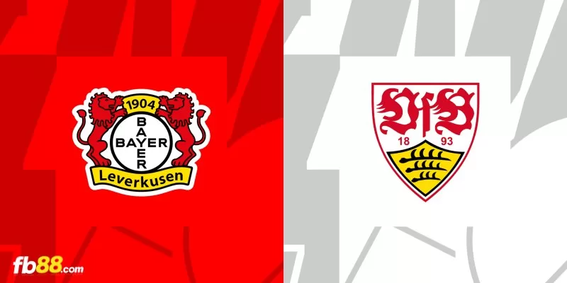 Soi kèo trận đấu Leverkusen vs Stuttgart 23h30 27/04/2024